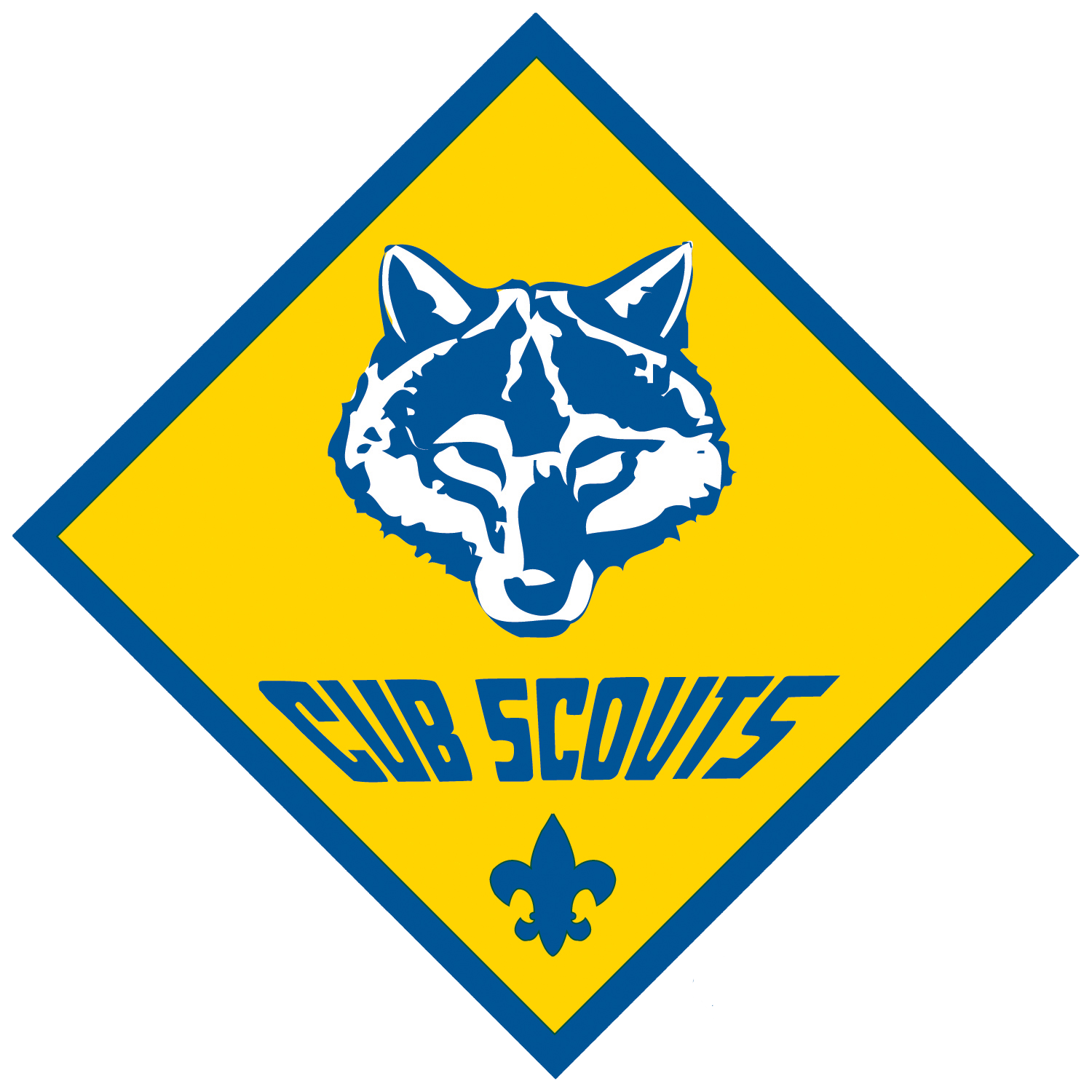 Cub Scouts